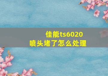 佳能ts6020喷头堵了怎么处理