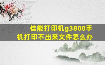 佳能打印机g3800手机打印不出来文件怎么办