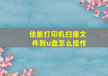 佳能打印机扫描文件到u盘怎么操作