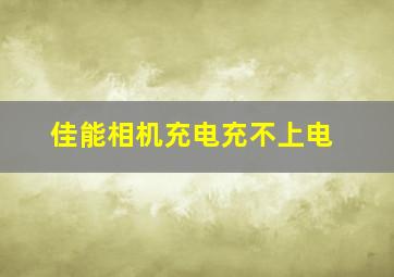 佳能相机充电充不上电