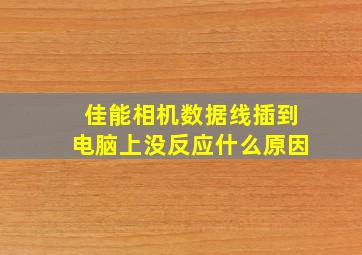 佳能相机数据线插到电脑上没反应什么原因