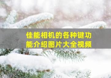 佳能相机的各种键功能介绍图片大全视频