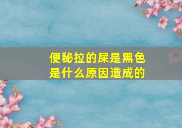 便秘拉的屎是黑色是什么原因造成的