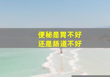 便秘是胃不好还是肠道不好