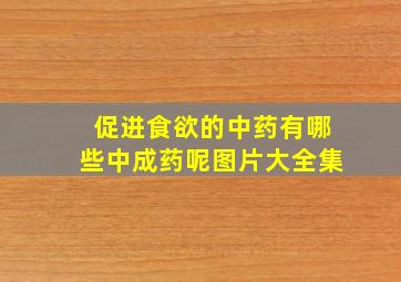 促进食欲的中药有哪些中成药呢图片大全集