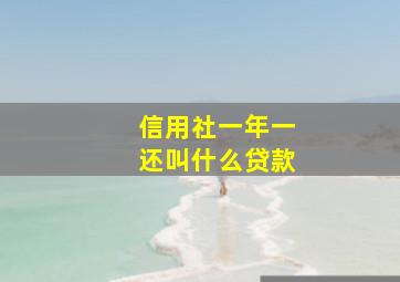 信用社一年一还叫什么贷款