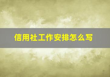 信用社工作安排怎么写