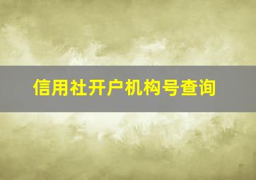 信用社开户机构号查询