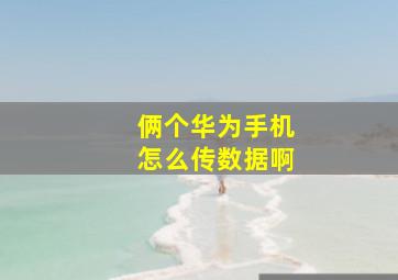 俩个华为手机怎么传数据啊