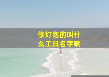 修灯泡的叫什么工具名字啊