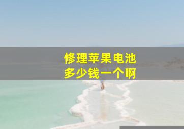 修理苹果电池多少钱一个啊