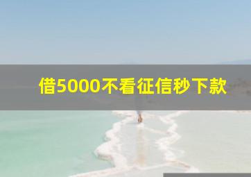 借5000不看征信秒下款