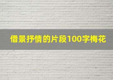 借景抒情的片段100字梅花