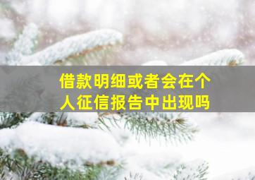 借款明细或者会在个人征信报告中出现吗