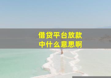 借贷平台放款中什么意思啊