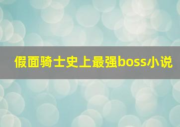 假面骑士史上最强boss小说