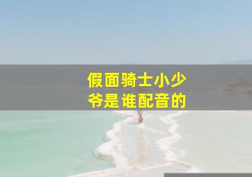 假面骑士小少爷是谁配音的