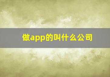 做app的叫什么公司