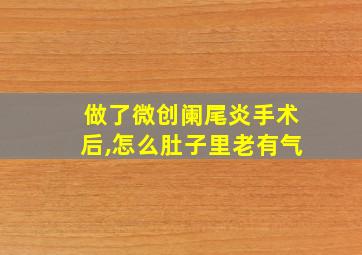 做了微创阑尾炎手术后,怎么肚子里老有气