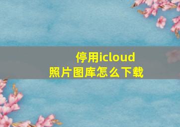 停用icloud照片图库怎么下载