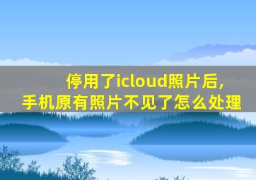 停用了icloud照片后,手机原有照片不见了怎么处理