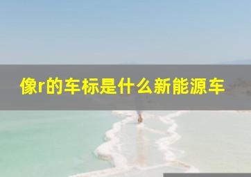 像r的车标是什么新能源车