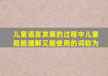 儿童语言发展的过程中儿童既能理解又能使用的词称为