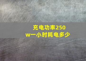 充电功率250w一小时耗电多少