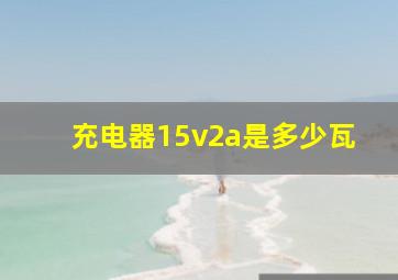 充电器15v2a是多少瓦