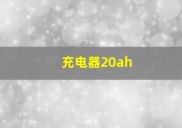 充电器20ah