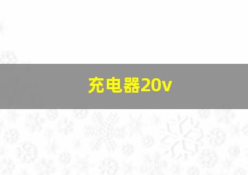 充电器20v