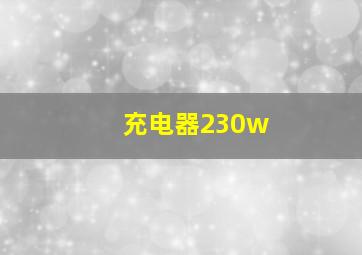 充电器230w