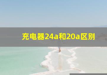 充电器24a和20a区别