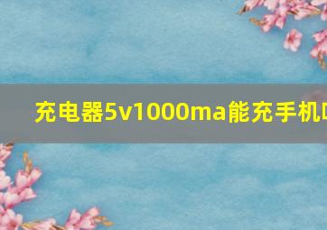 充电器5v1000ma能充手机吗