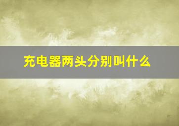 充电器两头分别叫什么