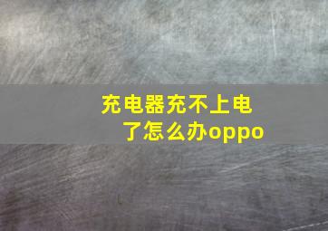 充电器充不上电了怎么办oppo