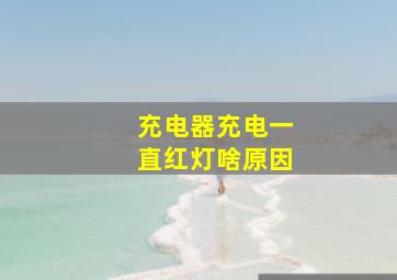 充电器充电一直红灯啥原因