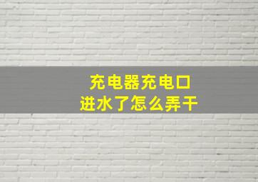 充电器充电口进水了怎么弄干