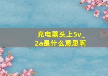 充电器头上5v_2a是什么意思啊