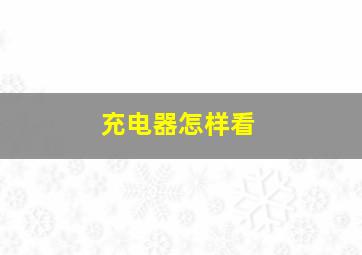 充电器怎样看