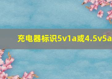 充电器标识5v1a或4.5v5a