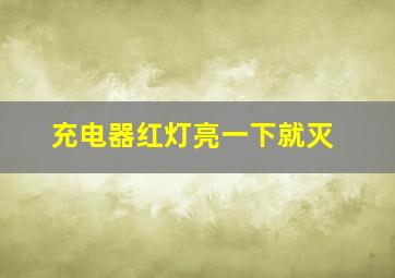 充电器红灯亮一下就灭