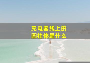 充电器线上的圆柱体是什么