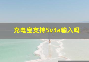 充电宝支持5v3a输入吗