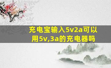 充电宝输入5v2a可以用5v,3a的充电器吗