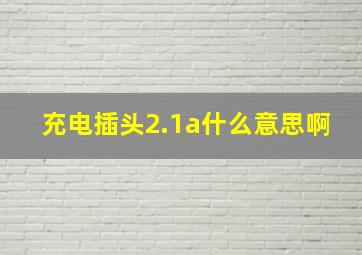 充电插头2.1a什么意思啊