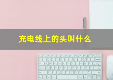 充电线上的头叫什么