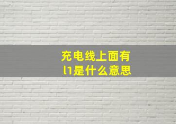 充电线上面有l1是什么意思