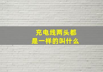 充电线两头都是一样的叫什么