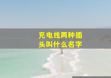 充电线两种插头叫什么名字